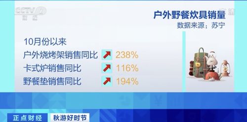 野餐热潮带动周边产品销量暴增，三河企业管理订单火爆排至明年二月