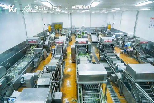 消费产业的增长韧性，藏在源头工厂——36氪产业带计划三河市场调研